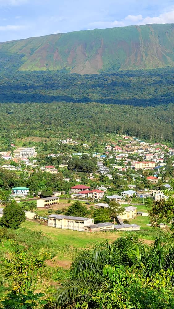 Where the Stars Came Down: The Light of Buea